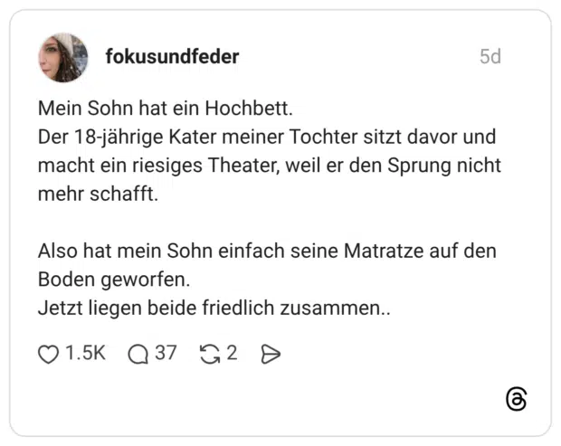 Mein Sohn hat ein Hochbett. Der 18-jährige Kater meiner Tochter sitzt davor und macht ein riesiges Theater, weil er den Sprung nicht mehr schafft. Also hat mein Sohn einfach seine Matratze auf den Boden geworfen. Jetzt liegen beide friedlich zusammen..