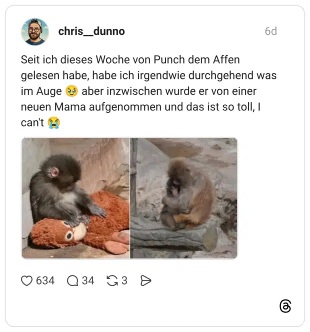 Seit ich dieses Woche von Punch dem Affen gelesen habe, habe ich irgendwie durchgehend was im Auge 🥹 aber inzwischen wurde er von einer neuen Mama aufgenommen und das ist so toll, I can't 😭