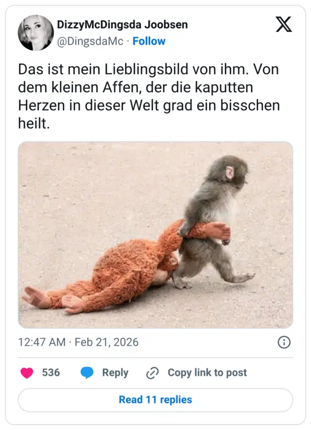 Das ist mein Lieblingsbild von ihm. Von dem kleinen Affen, der die kaputten Herzen in dieser Welt grad ein bisschen heilt.