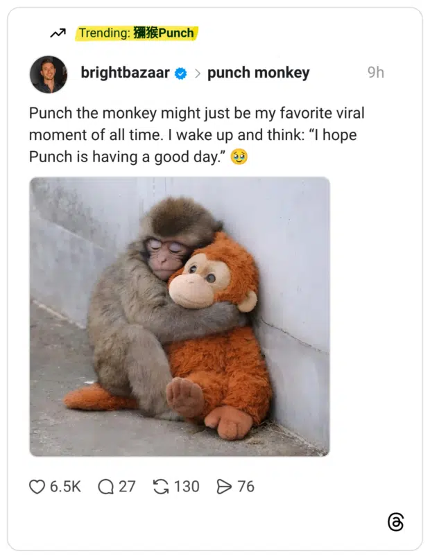 Punch the monkey might just be my favorite viral moment of all time. I wake up and think: “I hope Punch is having a good day.” 🥹