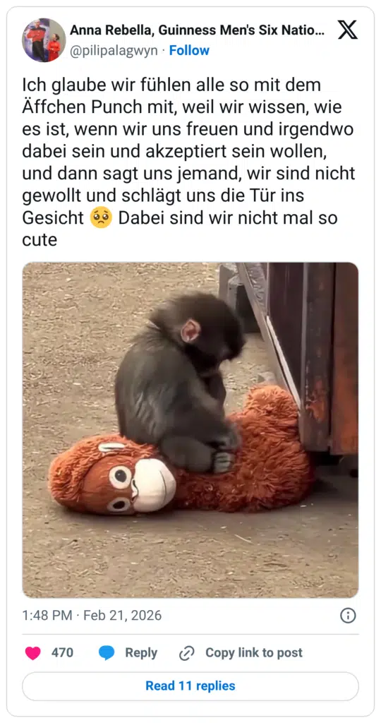 Ich glaube wir fühlen alle so mit dem Äffchen Punch mit, weil wir wissen, wie es ist, wenn wir uns freuen und irgendwo dabei sein und akzeptiert sein wollen, und dann sagt uns jemand, wir sind nicht gewollt und schlägt uns die Tür ins Gesicht 🥺 Dabei sind wir nicht mal so cute