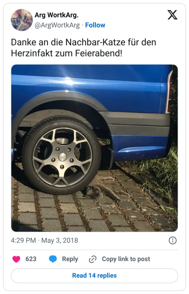 Danke an die Nachbar-Katze für den Herzinfakt zum Feierabend!