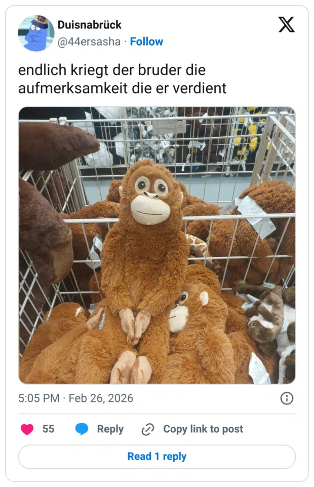 endlich kriegt der bruder die aufmerksamkeit die er verdient