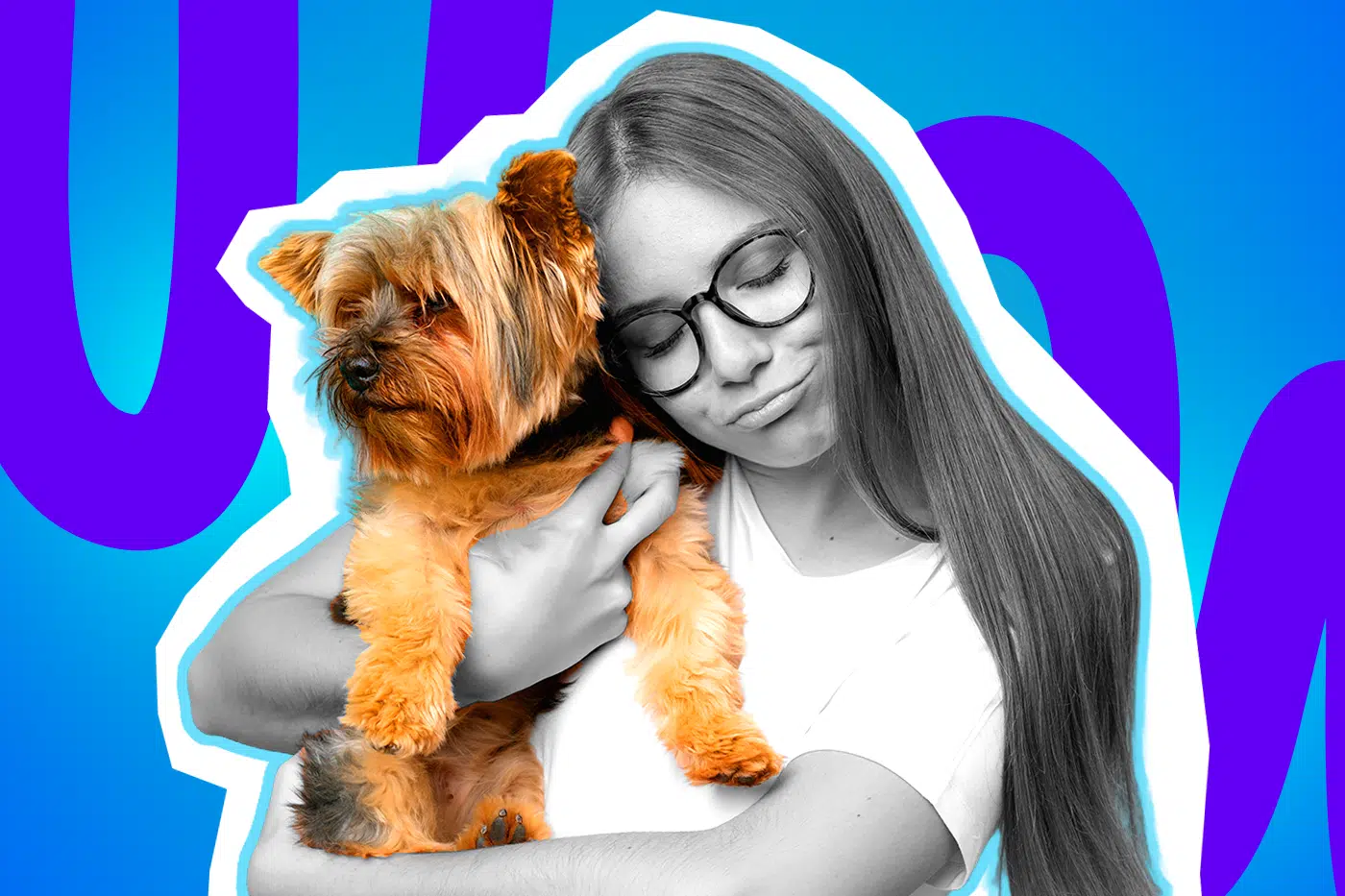 Humorvolle Collage zum Thema Haustierliebe und Hunde-Alltag: Eine Frau in Schwarz-Weiß mit Brille und langen Haaren schließt genüsslich die Augen und drückt liebevoll einen kleinen, wuscheligen Hund an sich. Während die Frau farblos bleibt, erstrahlt der kleine Terrier im starken Kontrast in leuchtend braun-goldenen Farben. Das Pop-Art-Motiv vor einem markanten blau-violetten Wellen-Hintergrund visualisiert pointiert die bedingungslose Zuneigung zu unseren Vierbeinern und die Tatsache, dass Haustiere oft unangefochten im absoluten Mittelpunkt stehen.