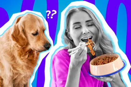 Humorvolle Collage zum Thema absurde Situationen: Ein verwirrt dreinblickender Golden Retriever schaut irritiert auf eine Frau in Schwarz-Weiß. Die Frau trägt ein leuchtend pinkes Shirt, hat die Augen genüsslich geschlossen und isst mit Stäbchen Nudeln aus einem Hundenapf. Weiße Fragezeichen-Icons über dem Kopf des Hundes und der blau-violette Wellen-Hintergrund unterstreichen humorvoll den ultimativen "WTF-Moment" und tägliche Verrücktheiten.