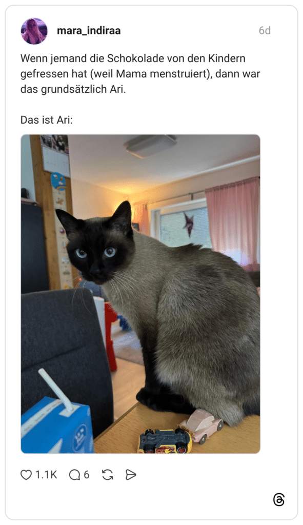 Wenn jemand die Schokolade von den Kindern gefressen hat (weil Mama menstruiert), dann war das grundsätzlich Ari. Das ist Ari: