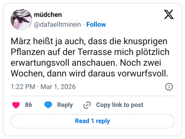 März heißt ja auch, dass die knusprigen Pflanzen auf der Terrasse mich plötzlich erwartungsvoll anschauen. Noch zwei Wochen, dann wird daraus vorwurfsvoll.