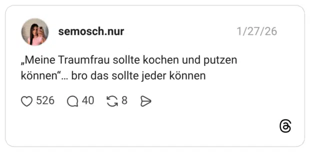 „Meine Traumfrau sollte kochen und putzen können"... bro das sollte jeder können