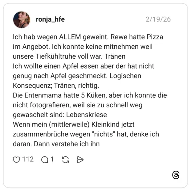 Ich hab wegen ALLEM geweint. Rewe hatte Pizza im Angebot. Ich konnte keine mitnehmen weil unsere Tiefkühltruhe voll war. Tränen Ich wollte einen Apfel essen aber der hat nicht genug nach Apfel geschmeckt. Logischen Konsequenz; Tränen, richtig. Die Entenmama hatte 5 Küken, aber ich konnte die nicht fotografieren, weil sie zu schnell weg gewaschelt sind: Lebenskriese Wenn mein (mittlerweile) Kleinkind jetzt zusammenbrüche wegen "nichts" hat, denke ich daran. Dann verstehe ich ihn