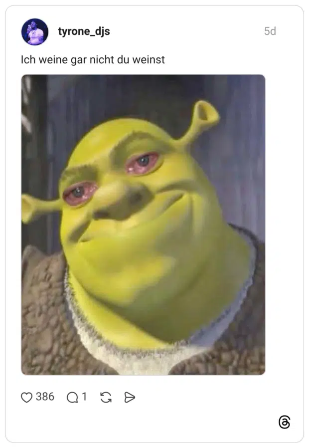 Ich weine gar nicht du weinst