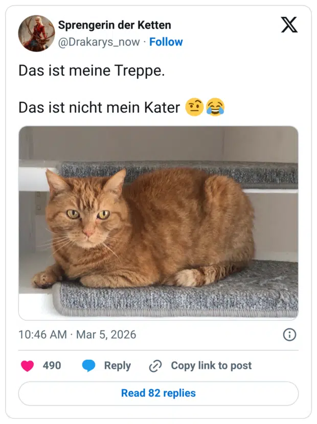 Das ist meine Treppe. Das ist nicht mein Kater 🤨😂