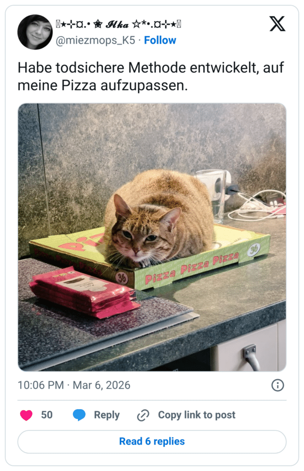Habe todsichere Methode entwickelt, auf meine Pizza aufzupassen.