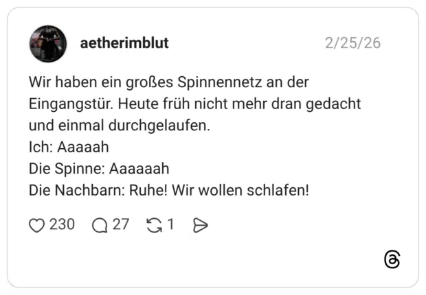 Wir haben ein großes Spinnennetz an der Eingangstür. Heute früh nicht mehr dran gedacht und einmal durchgelaufen. Ich: Aaaaah Die Spinne: Aaaaaah Die Nachbarn: Ruhe! Wir wollen schlafen!