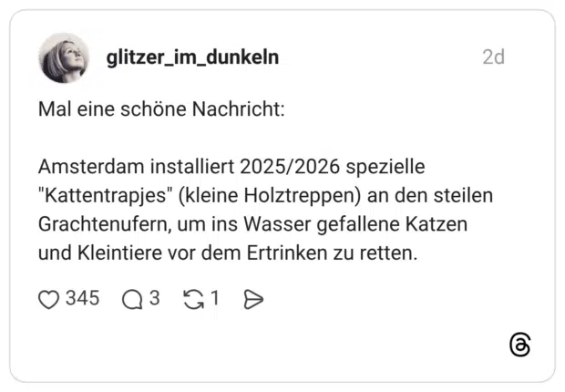 Mal eine schöne Nachricht: Amsterdam installiert 2025/2026 spezielle "Kattentrapjes" (kleine Holztreppen) an den steilen Grachtenufern, um ins Wasser gefallene Katzen und Kleintiere vor dem Ertrinken zu retten.