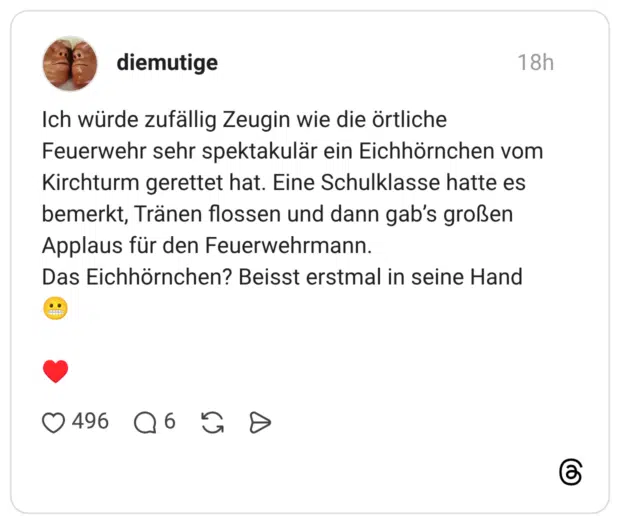 Ich würde zufällig Zeugin wie die örtliche Feuerwehr sehr spektakulär ein Eichhörnchen vom Kirchturm gerettet hat. Eine Schulklasse hatte es bemerkt, Tränen flossen und dann gab’s großen Applaus für den Feuerwehrmann. Das Eichhörnchen? Beisst erstmal in seine Hand 😬