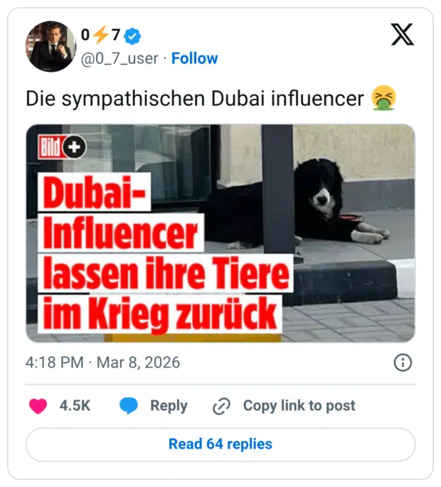 Die sympathischen Dubai influencer