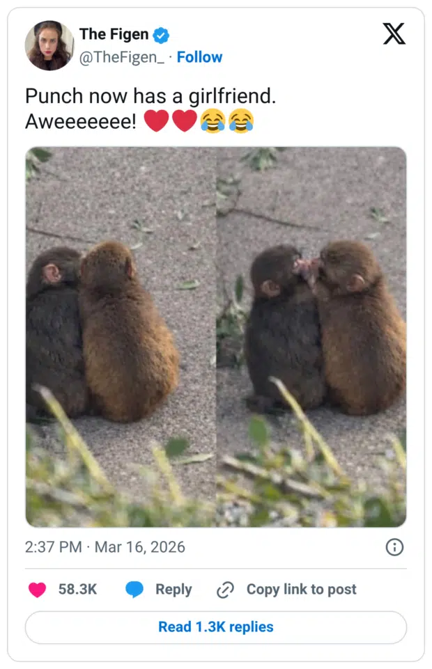 Punch now has a girlfriend.