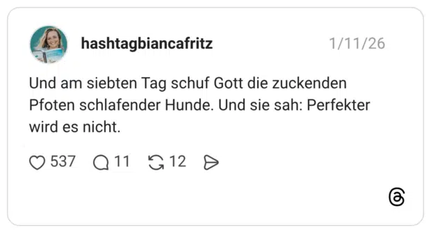 Und am siebten Tag schuf Gott die zuckenden Pfoten schlafender Hunde. Und sie sah: Perfekter wird es nicht.