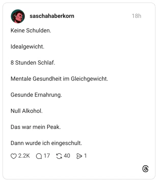 Keine Schulden. Idealgewicht. 8 Stunden Schlaf. Mentale Gesundheit im Gleichgewicht. Gesunde Ernahrung. Null Alkohol. Das war mein Peak. Dann wurde ich eingeschult.