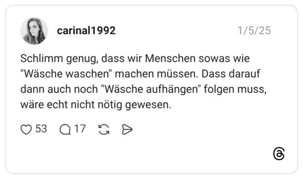 Schlimm genug, dass wir Menschen sowas wie "Wäsche waschen" machen müssen. Dass darauf dann auch noch "Wäsche aufhängen" folgen muss, wäre echt nicht nötig gewesen.
