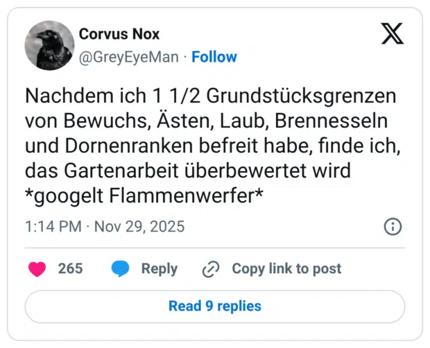 Nachdem ich 1 1/2 Grundstücksgrenzen von Bewuchs, Ästen, Laub, Brennesseln und Dornenranken befreit habe, finde ich, das Gartenarbeit überbewertet wird *googelt Flammenwerfer*