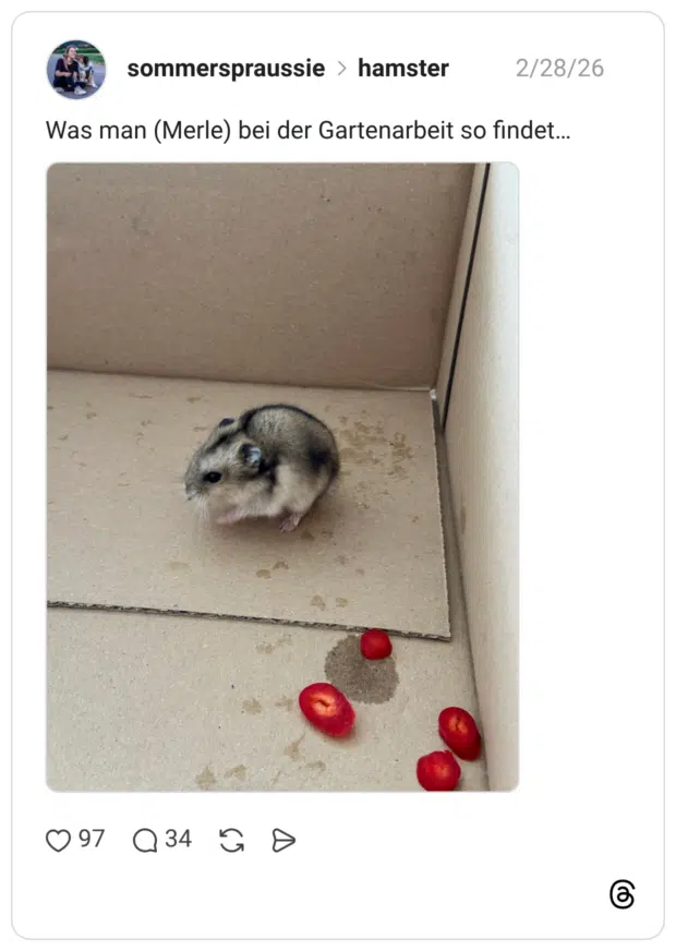 Was man (Merle) bei der Gartenarbeit so findet…