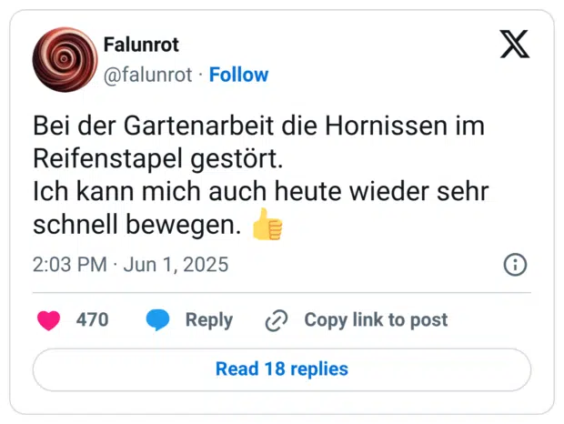 Bei der Gartenarbeit die Hornissen im Reifenstapel gestört. Ich kann mich auch heute wieder sehr schnell bewegen. 👍