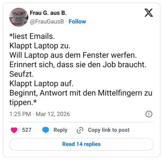 *liest Emails. Klappt Laptop zu. Will Laptop aus dem Fenster werfen. Erinnert sich, dass sie den Job braucht. Seufzt. Klappt Laptop auf. Beginnt, Antwort mit den Mittelfingern zu tippen.*