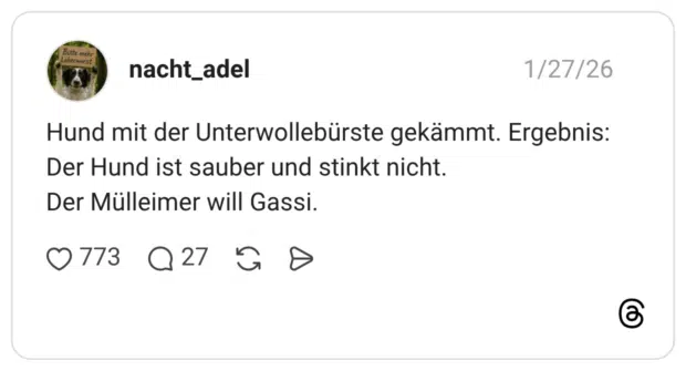 Hund mit der Unterwollebürste gekämmt. Ergebnis: Der Hund ist sauber und stinkt nicht. Der Mülleimer will Gassi.
