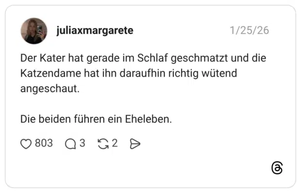 Der Kater hat gerade im Schlaf geschmatzt und die Katzendame hat ihn daraufhin richtig wütend angeschaut. Die beiden führen ein Eheleben.