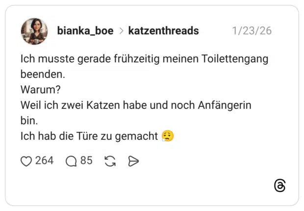 Ich musste gerade frühzeitig meinen Toilettengang beenden. Warum? Weil ich zwei Katzen habe und noch Anfängerin bin. Ich hab die Türe zu gemacht 😮‍💨
