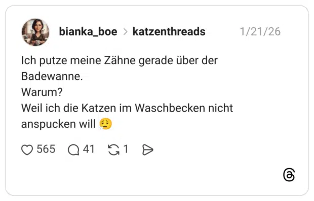 Ich putze meine Zähne gerade über der Badewanne. Warum? Weil ich die Katzen im Waschbecken nicht anspucken will 😮‍💨