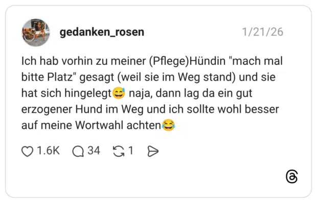 Ich hab vorhin zu meiner (Pflege)Hündin "mach mal bitte Platz" gesagt (weil sie im Weg stand) und sie hat sich hingelegt😅 naja, dann lag da ein gut erzogener Hund im Weg und ich sollte wohl besser auf meine Wortwahl achten😂