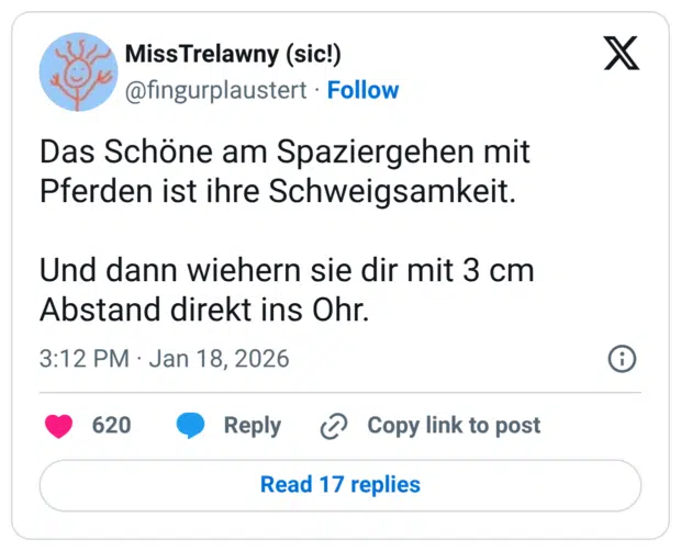 Das Schöne am Spaziergehen mit Pferden ist ihre Schweigsamkeit. Und dann wiehern sie dir mit 3 cm Abstand direkt ins Ohr.