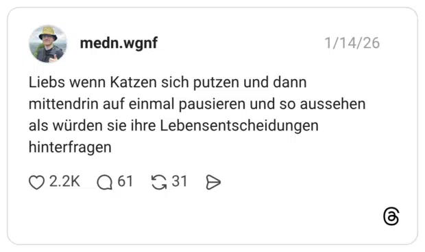 Liebs wenn Katzen sich putzen und dann mittendrin auf einmal pausieren und so aussehen als würden sie ihre Lebensentscheidungen hinterfragen