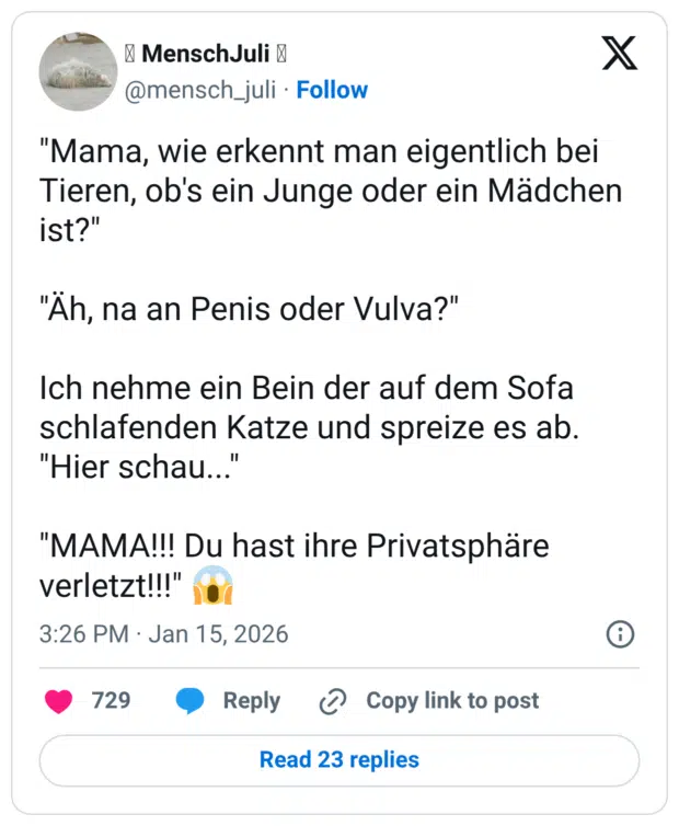 "Mama, wie erkennt man eigentlich bei Tieren, ob's ein Junge oder ein Mädchen ist?" "Äh, na an Penis oder Vulva?" Ich nehme ein Bein der auf dem Sofa schlafenden Katze und spreize es ab. "Hier schau..." "MAMA!!! Du hast ihre Privatsphäre verletzt!!!" 😱