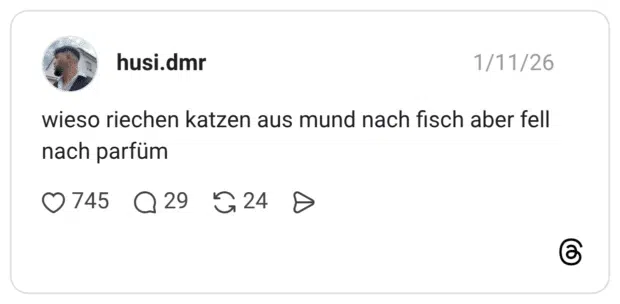 wieso riechen katzen aus mund nach fisch aber fell nach parfüm