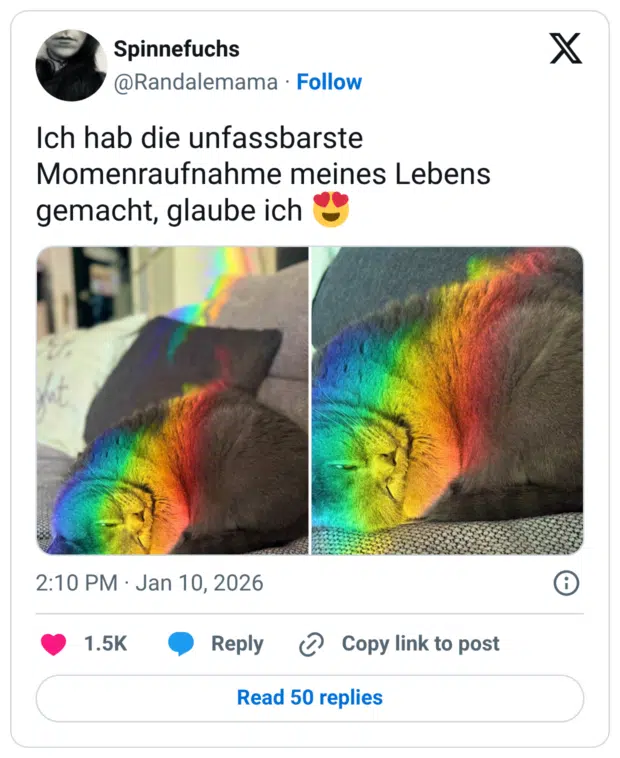 Ich hab die unfassbarste Momenraufnahme meines Lebens gemacht, glaube ich 😍