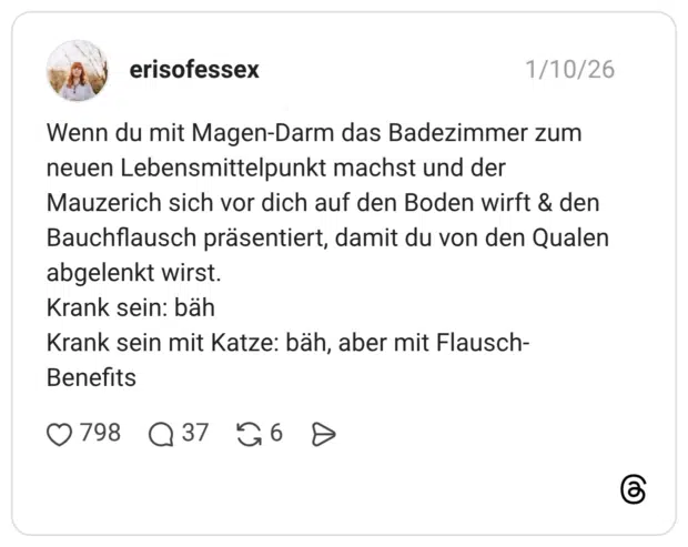 Wenn du mit Magen-Darm das Badezimmer zum neuen Lebensmittelpunkt machst und der Mauzerich sich vor dich auf den Boden wirft & den Bauchflausch präsentiert, damit du von den Qualen abgelenkt wirst. Krank sein: bäh Krank sein mit Katze: bäh, aber mit Flausch-Benefits