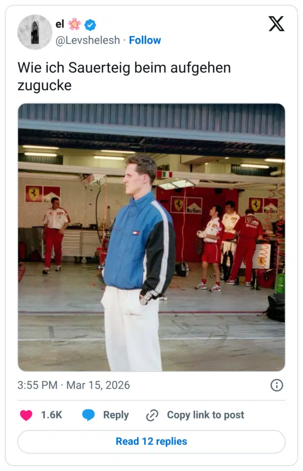 Wie ich Sauerteig beim aufgehen zugucke