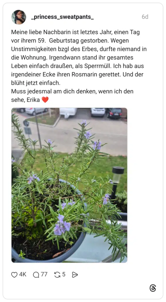 Meine liebe Nachbarin ist letztes Jahr, einen Tag vor ihrem 59. Geburtstag gestorben. Wegen Unstimmigkeiten bzgl des Erbes, durfte niemand in die Wohnung. Irgendwann stand ihr gesamtes Leben einfach draußen, als Sperrmüll. Ich hab aus irgendeiner Ecke ihren Rosmarin gerettet. Und der blüht jetzt einfach. Muss jedesmal am dich denken, wenn ich den sehe, Erika ❤️