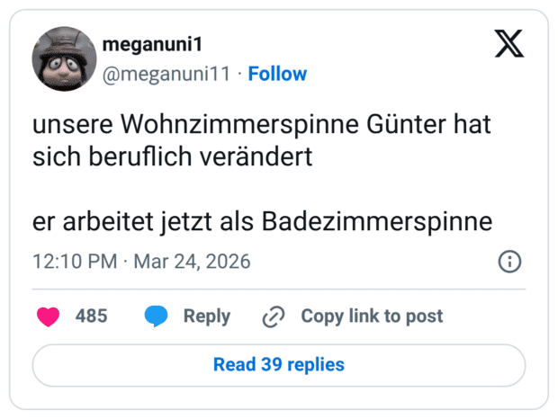 unsere Wohnzimmerspinne Günter hat sich beruflich verändert er arbeitet jetzt als Badezimmerspinne