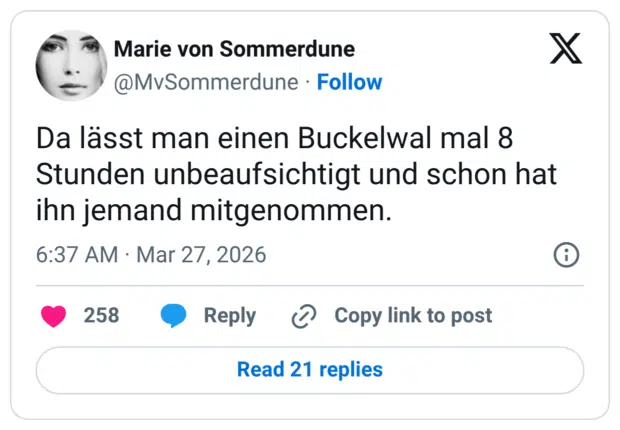 Da lässt man einen Buckelwal mal 8 Stunden unbeaufsichtigt und schon hat ihn jemand mitgenommen.