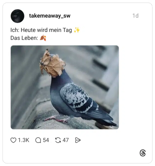 Ich: Heute wird mein Tag ✨ Das Leben: 🍂