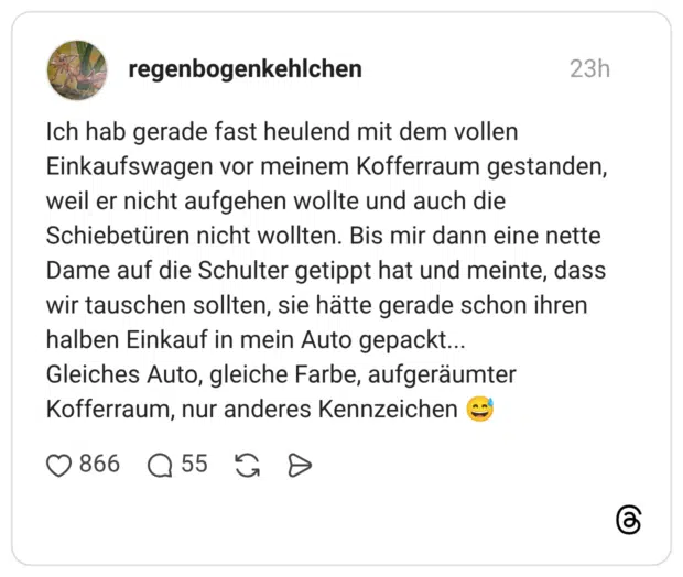 Ich hab gerade fast heulend mit dem vollen Einkaufswagen vor meinem Kofferraum gestanden, weil er nicht aufgehen wollte und auch die Schiebetüren nicht wollten. Bis mir dann eine nette Dame auf die Schulter getippt hat und meinte, dass wir tauschen sollten, sie hätte gerade schon ihren halben Einkauf in mein Auto gepackt... Gleiches Auto, gleiche Farbe, aufgeräumter Kofferraum, nur anderes Kennzeichen 😅