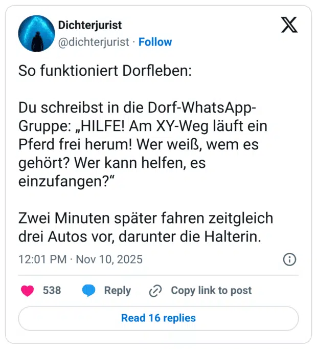 So funktioniert Dorfleben: Du schreibst in die Dorf-WhatsApp-Gruppe: „HILFE! Am XY-Weg läuft ein Pferd frei herum! Wer weiß, wem es gehört? Wer kann helfen, es einzufangen?“ Zwei Minuten später fahren zeitgleich drei Autos vor, darunter die Halterin.