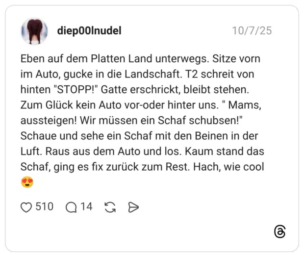 Eben auf dem Platten Land unterwegs. Sitze vorn im Auto, gucke in die Landschaft. T2 schreit von hinten "STOPP!" Gatte erschrickt, bleibt stehen. Zum Glück kein Auto vor-oder hinter uns. " Mams, aussteigen! Wir müssen ein Schaf schubsen!" Schaue und sehe ein Schaf mit den Beinen in der Luft. Raus aus dem Auto und los. Kaum stand das Schaf, ging es fix zurück zum Rest. Hach, wie cool