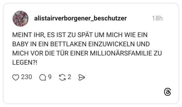 MEINT IHR, ES IST ZU SPÄT UM MICH WIE EIN BABY IN EIN BETTLAKEN EINZUWICKELN UND MICH VOR DIE TÜR EINER MILLIONÄRSFAMILIE ZU LEGEN?!