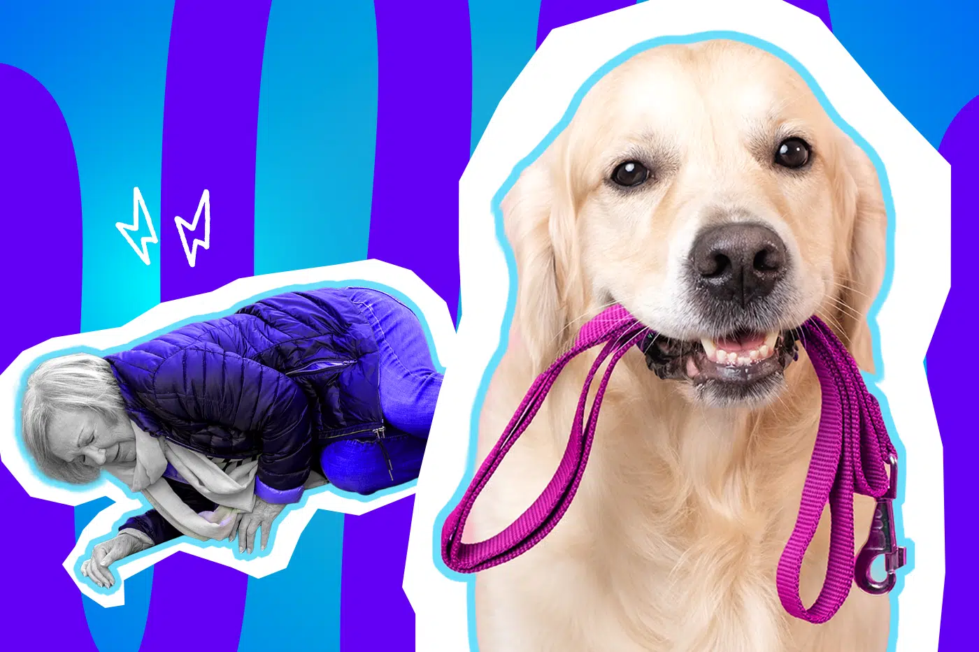 Humorvolle Collage zum Thema Hunde-Alltag und Gassi-Fails: Auf der linken Seite liegt eine gestürzte ältere Frau in Schwarz-Weiß am Boden und stützt sich angestrengt ab. Sie trägt eine dunkelblaue Steppjacke und leuchtend blaue Hosen. Weiße Blitz-Icons über ihr deuten den harten Aufprall an. Rechts daneben blickt ein fröhlicher Golden Retriever in Farbe in die Kamera und hält freudig eine knallpinke Hundeleine im Maul. Das Pop-Art-Motiv vor einem blau-violetten Wellen-Hintergrund visualisiert humorvoll den täglichen Gassi-Wahnsinn und die berechtigte Frage, wer hier eigentlich mit wem spazieren geht.