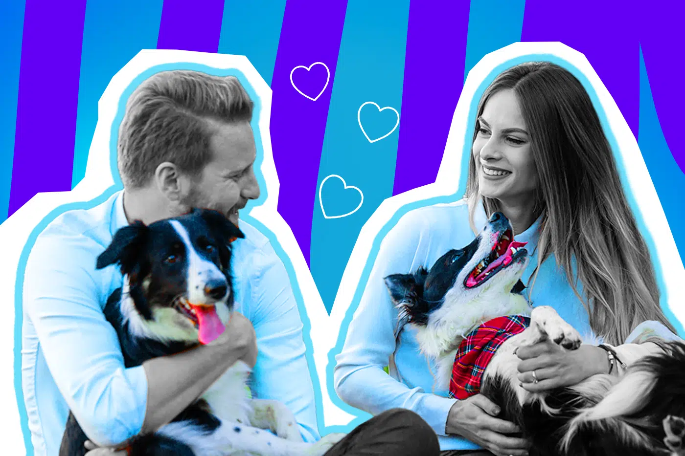 Romantische Collage zum Thema Liebe auf den ersten Blick: Ein Mann und eine Frau in Schwarz-Weiß blicken sich glücklich und verliebt an. Beide tragen hellblaue Oberteile und halten jeweils einen schwarz-weißen Hund (Border Collie) im Arm. Der Hund des Mannes hechelt mit einer leuchtend pinken Zunge, der Hund der Frau trägt ein rotes Karomuster-Halstuch. Zwischen dem Paar schweben drei weiße Herz-Icons. Das Pop-Art-Motiv vor einem blau-violetten Wellen-Hintergrund visualisiert das romantische Kennenlernen abseits von Dating-Apps – ganz klassisch beim Gassigehen.